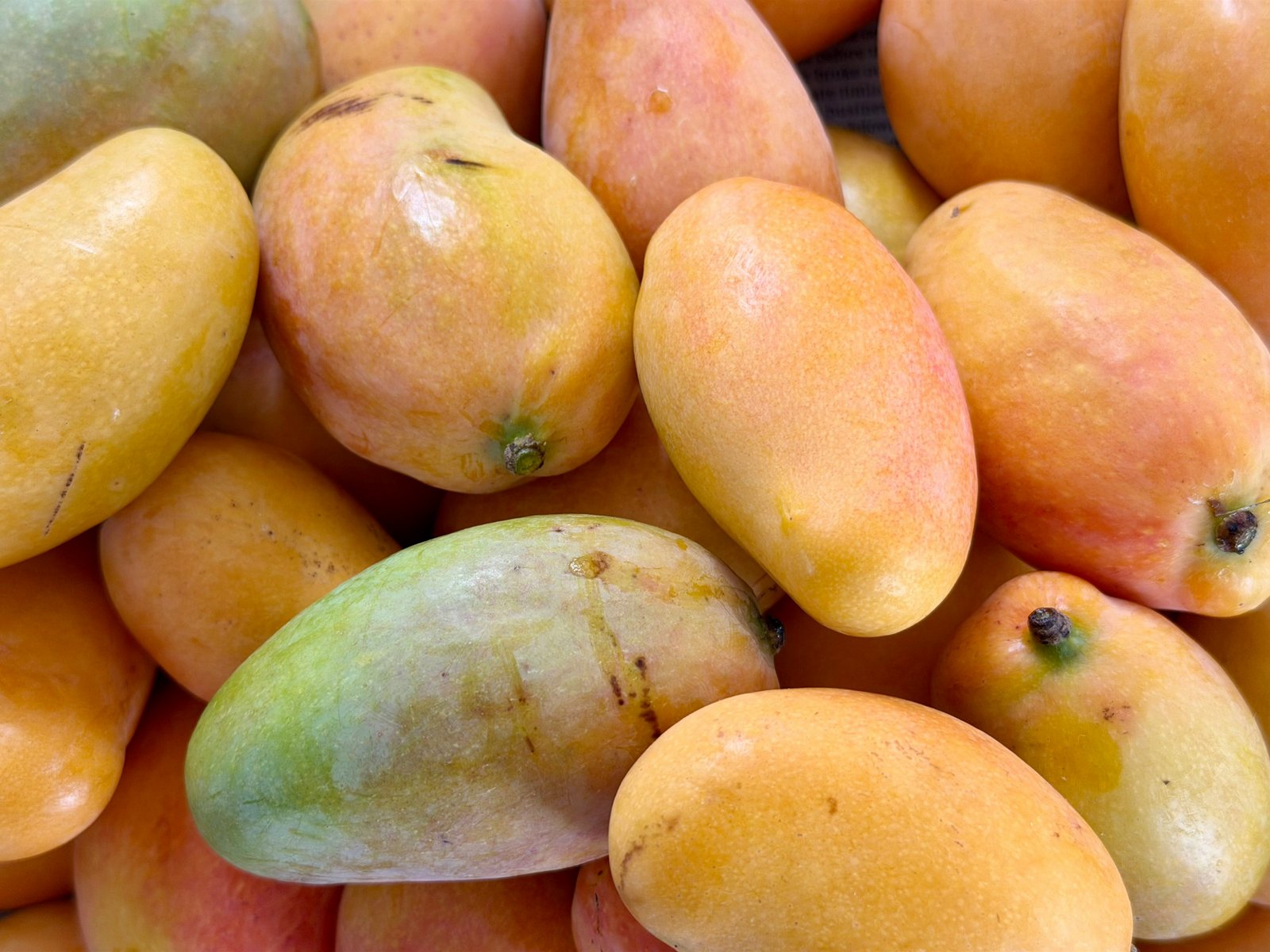 Fresh Indian Mango